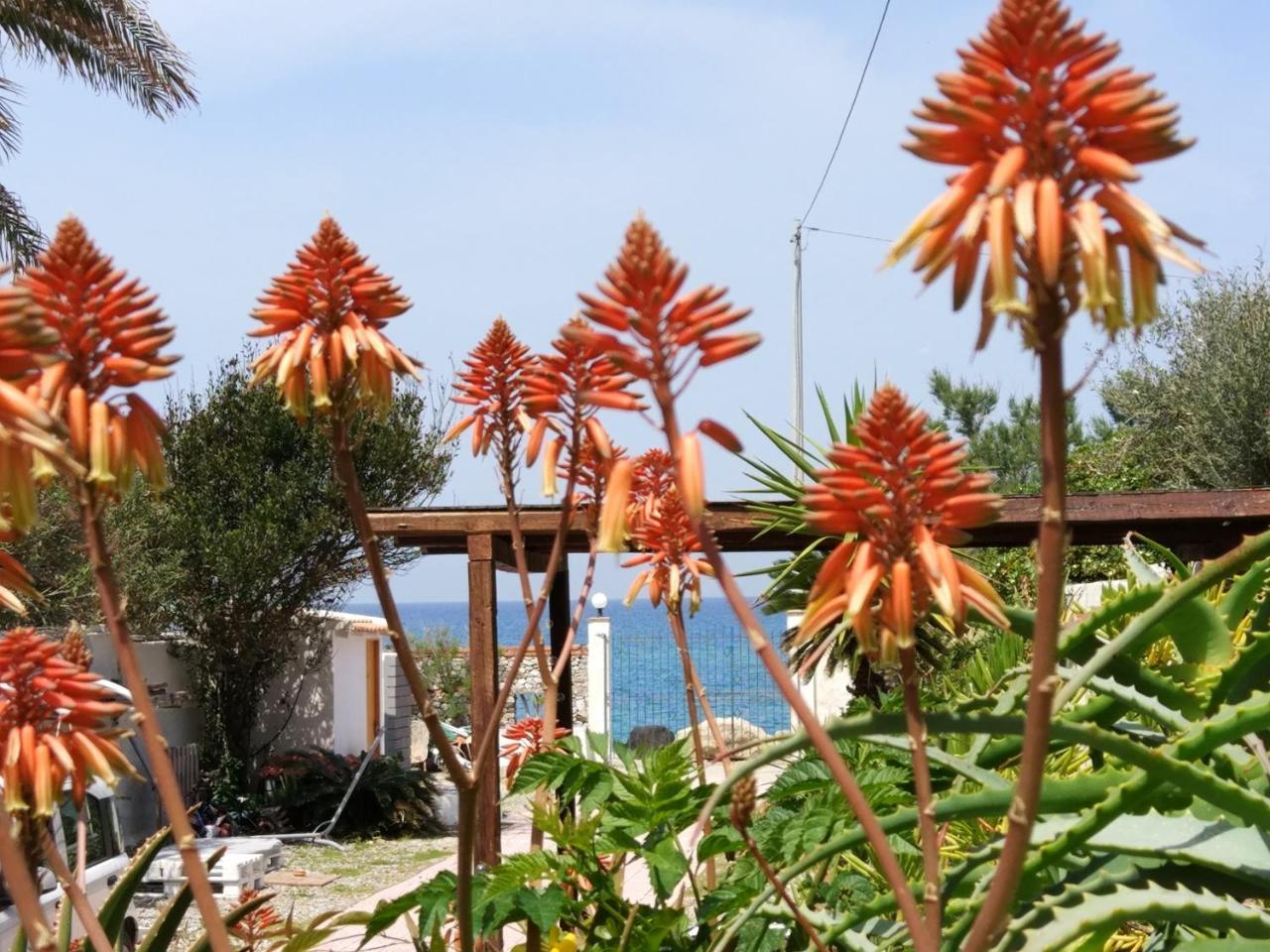 La Casa A Mare B&B Mesyna Zewnętrze zdjęcie